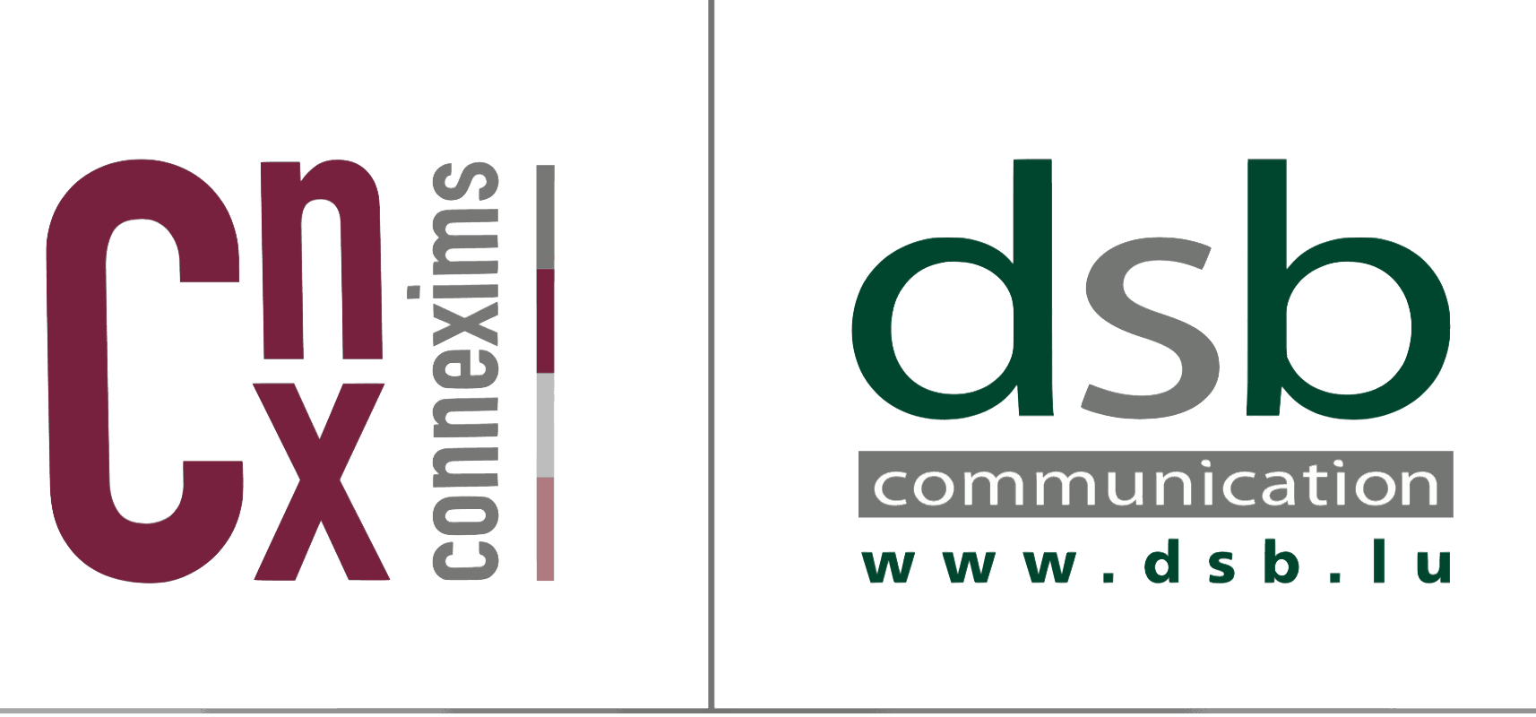 DSB Communication & Connexims
